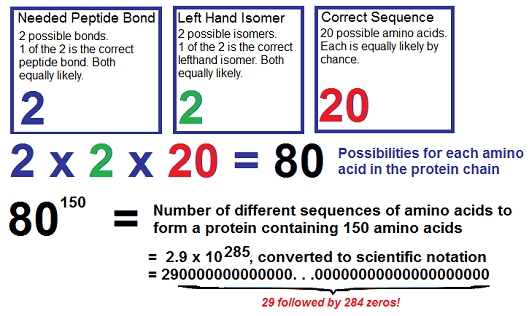 Mathematical Probability of Accidental Life